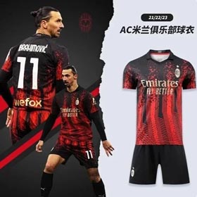 2023-2024AC Milan Ibrahimovic und Giroud Fußball Uniform Trikot(21+Styles)-1217  