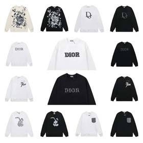 DIOR Sweatshirt-2499  