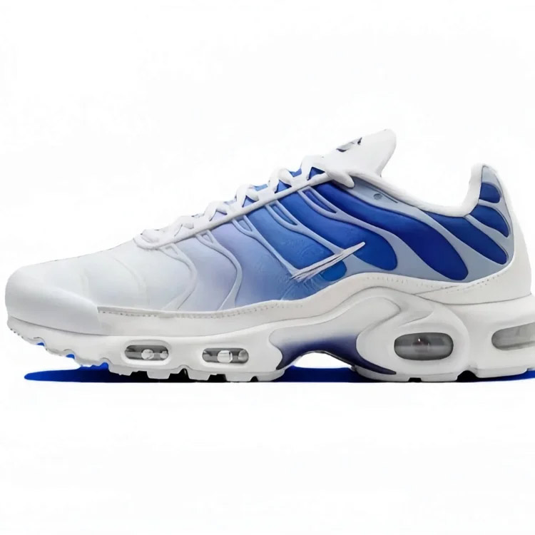 Nike Air Max Plus Classic Comfort Low-Top Luftgepolsterte Schuhe-2869
